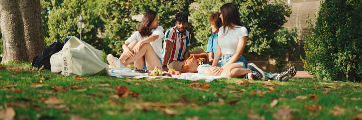 Happy smiling young multinational people at picnic on summer day outdoors. Friends have fun weekend together, relaxing in the park at picnic, Panorama