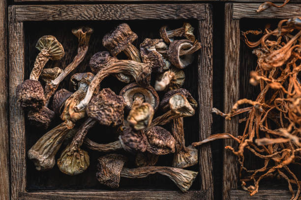 istock Dried mushrooms in wooden box 1967540784