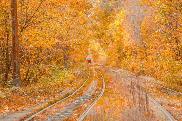 Autumn forest through which the tram travels, Kyiv and rails close-up