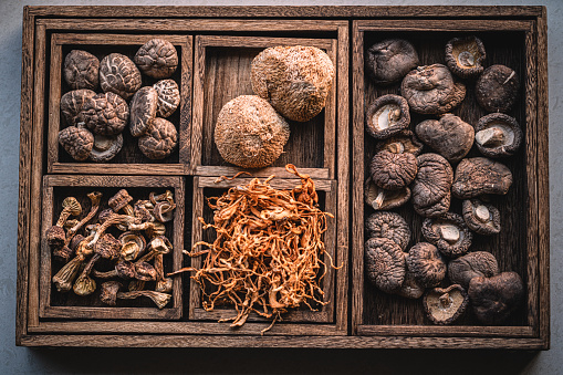 Collection of dried mushrooms in wooden box