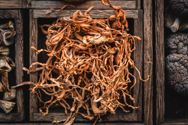 Dried mushrooms in wooden box