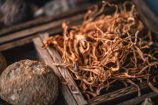 istock Dried mushrooms in wooden box 1967543293