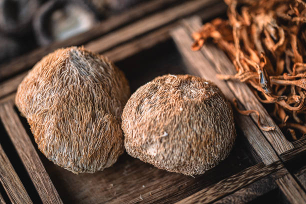 istock Dried mushrooms in wooden box 1967543491