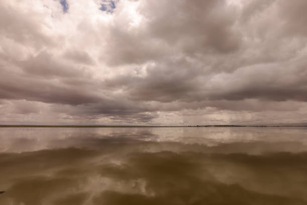 Camera: Nikon Z8 - 45 MP-Sensor / Location:: Lake Steinhuder Meer, Lower Saxony, Germany
