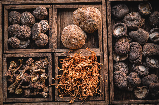 Collection of dried mushrooms in wooden box