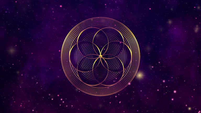 Video animation gold shiny Flower of Life in motion. Golden Lotus Sacred geometry in the moving galaxy, starry background. Model for TV show, intro, movie, stage design. Purple universe cosmic space