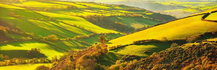 Digital painting of a dry stone wall cuts through the vista of green trees, fields and hills in the Peak District National park. The flat top of Shuttlingsloe can be seen in the distance.