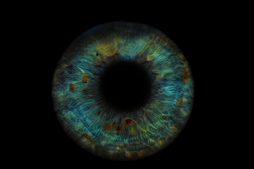 A closeup shot of a human iris on a black background