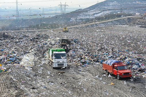 Heavy machinery and trucks in action at a landfill site, surrounded by numerous birds.