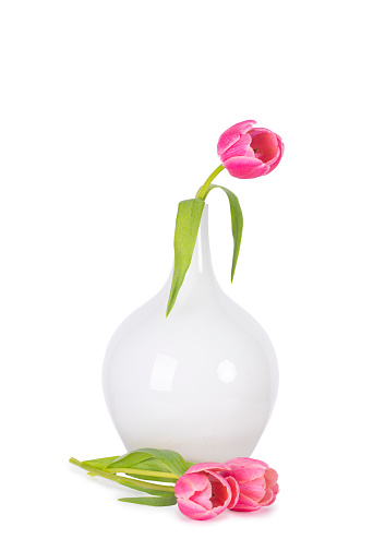 A pink Tulip in a white vase, with two pink Tulips infront of the vase on a white background