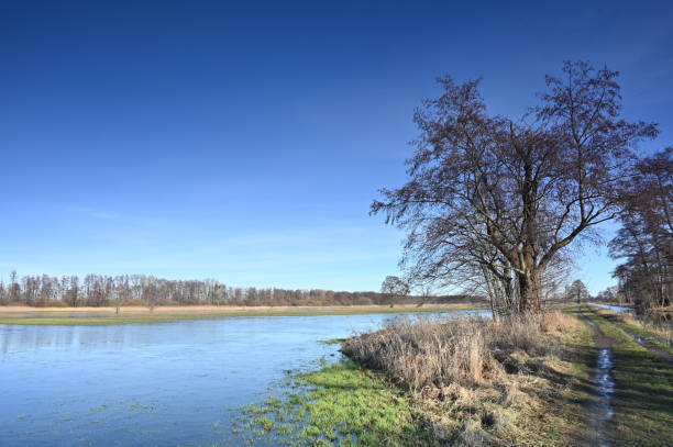 Blue sky over a flooded pasture in the wetland near Lake Steinhude