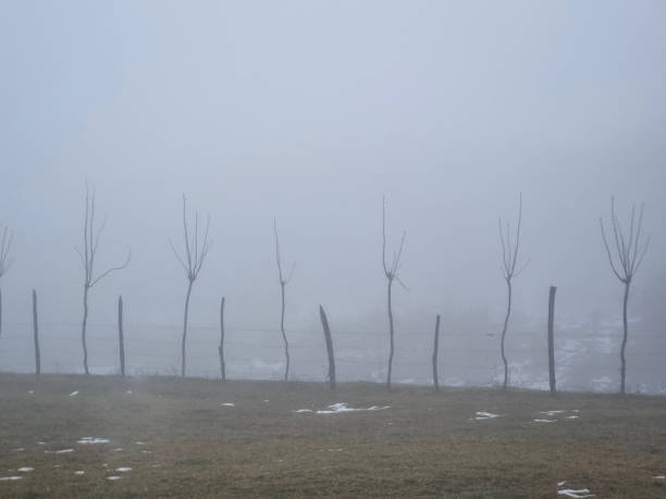 Winter urban frosty landscape