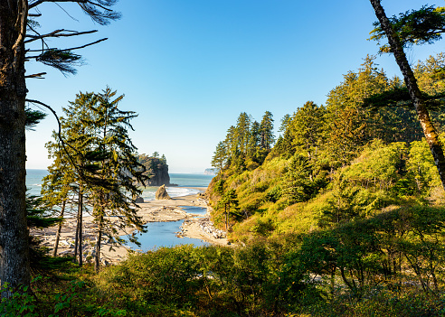 View of the Pacific Ocean along the Washington State coast