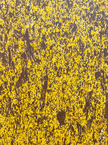 Rusty yellow metal background