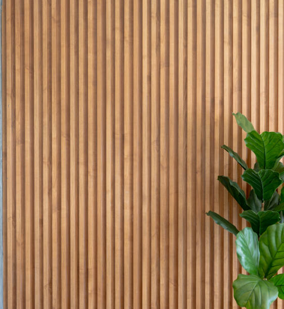 istock Fiddle Leaf Fig Against Wooden Slats Background 1967697054