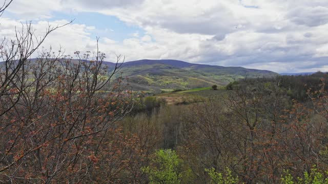 Drone View Of A Countryside Landscape With Rolling Green Hills And Deciduous Trees