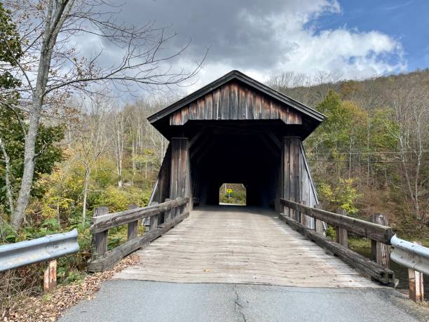 istock Livingston Manor Covered Bridge 1967709416