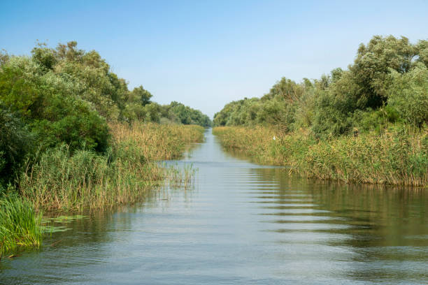Canals through the Danube Delta, Romania (1)