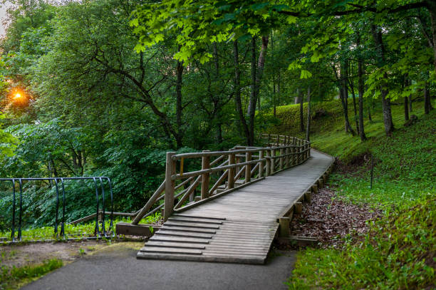 istock The boardwalks leading through the park at sunrise. 1967711081