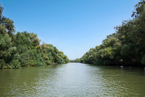 Canals through the Danube Delta, Romania (1)