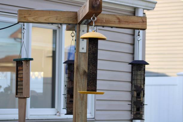 bird feeder - millet terrace 뉴스 사진 이미지