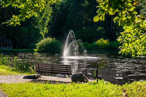 Bench to relax in a shady green park with fountain in the pond. Smiltene Old Park, Latvia.