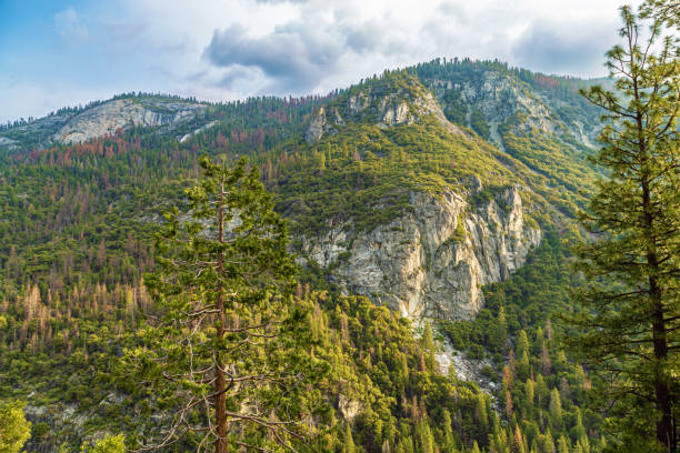 Yosemite national park. View of Yosemite valley in Yosemite National Park, California, USA.