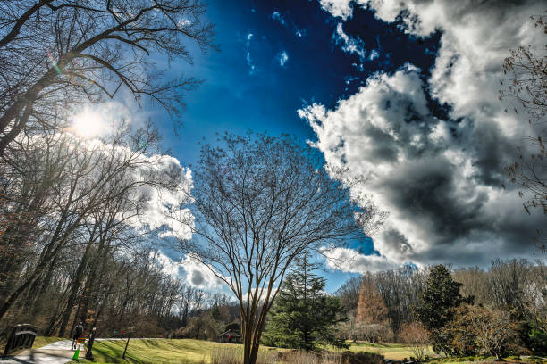 Late winter sun in a park setting