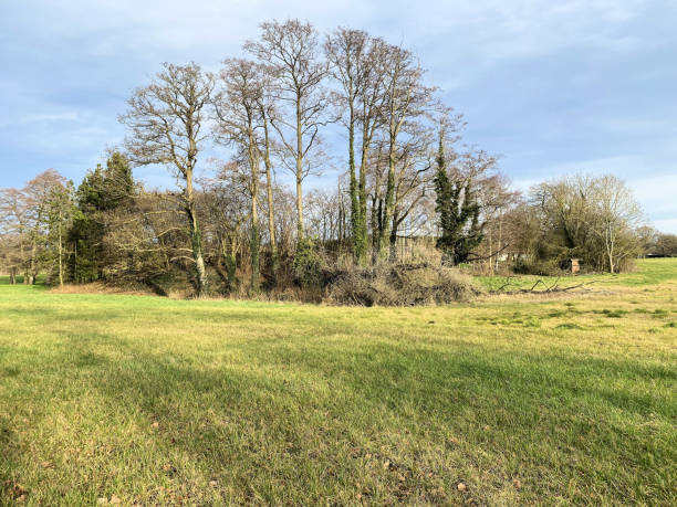 istock A view of the Cheshire Countryside 1967784114