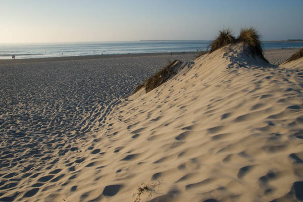 enjoying the beaches and sunsets of aveiro