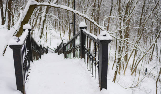 White background snow concept. Japan winter. Winter landscape in the forest. Dangerous concept.