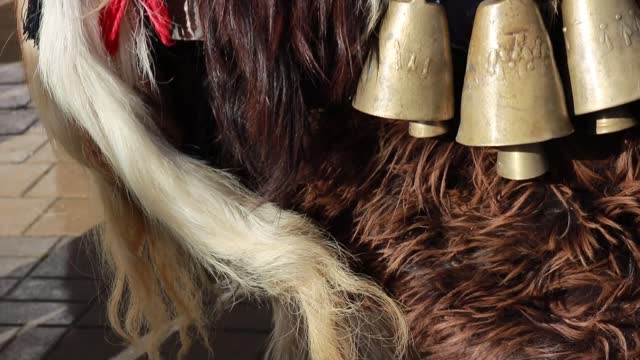 Closeup barbarian decoration with wooden decorative motifs, bells, metal chimes, and long animal fur. Pagan folklore of ancient tribes from the ancient world