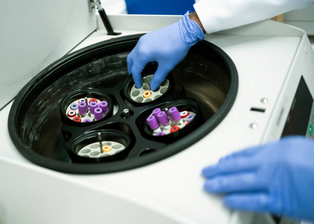 istock Laboratory technician arranging test tubes in a centrifuge 1967864311