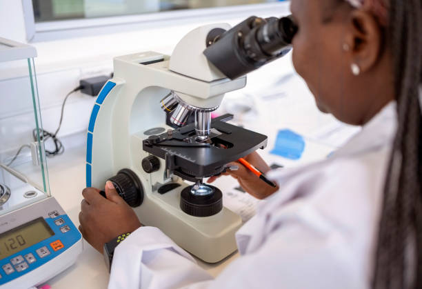 istock Woman lab doctor looking at the specimen under microscope at pathology laboratory 1967879212