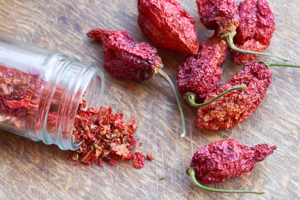 Jolokia Bhut stock photo