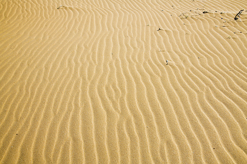 Sand dunes at the Golden Beach in North Cyprus, Karpas peninsula
