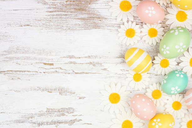 istock Easter eggs and white daisy flowers side border against a rustic white wood background 1967975810