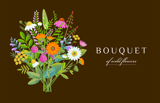 Vector bouquet of wild flowers and medicinal plants isolated on a brown background.