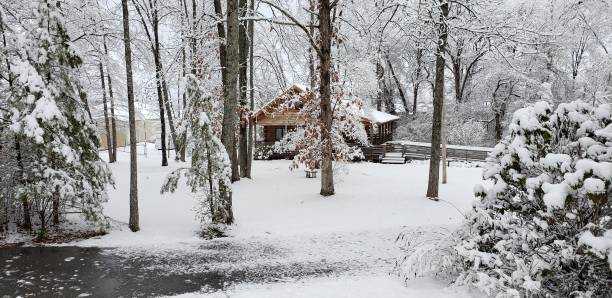 istock A cabin in the woods in the snow 1968029429