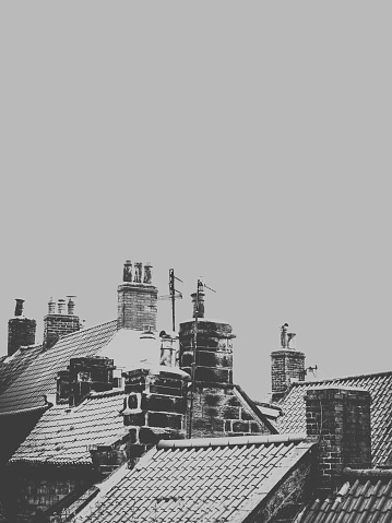 Rooftops in the seaside fishing port of Robin Hood's Bay in North Yorkshire.