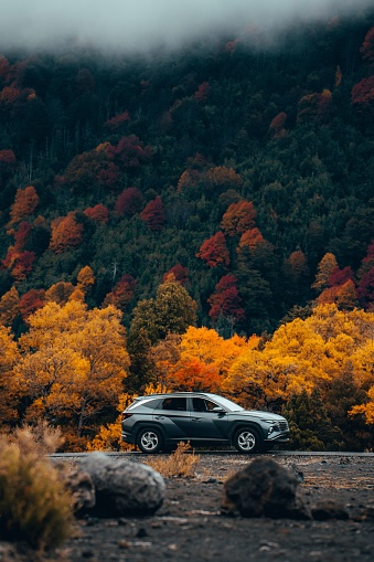 Melipeuco, Chile – May 09, 2022: Car parked in front of autumn forest with a scenic forest road backdrop