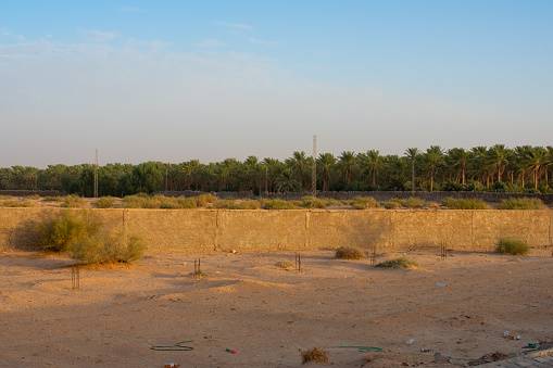 Road sign No Signal in Arabic Language. Beautiful colourful sunset over endless asphalt road.