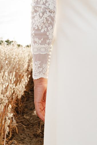 Wedding dress in the hands of the bride on the background of wheat.