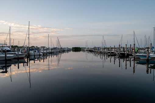 Miami, Florida - July 8, 2023 - Yachts and sailboats docked in Dinner Key Marina in Coconut Grove in morning twilight on clear calm summer day.