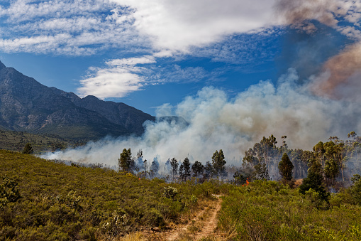 A wildfire raging across dry brush land near Worcester, Western Cape, South Africa.