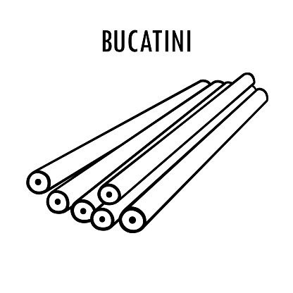 Bucatini pasta doodle food illustration. Hand drawn graphic print of long macaroni type of bucate pasta. Vector line art food ingredient of Italian cuisine
