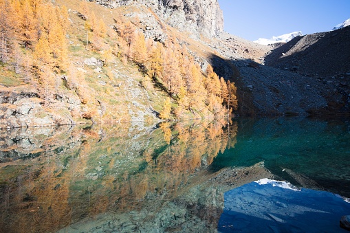 The Monte Rosa peaks, over the moraine, are reflected in the lake called Blue Lake, on a sunny, crystal-clear autumn morning. The larch trees have already changed their colors to warmer autumn hues.