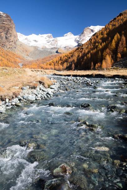 The majestic peaks of Monte Rosa, on a sunny, crystal-clear autumn morning, stand out against the backdrop of a vast glacial valley that has become an alpine pasture for centuries, now poignantly empty and lonely. A creek born from the glaciers runs through it.