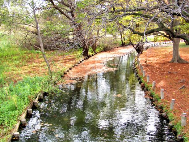 istock Japan. November. Small river in the park. 1968179750