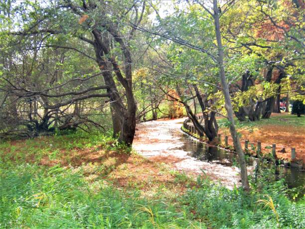 istock Japan. November. Small river in the park. 1968180824
